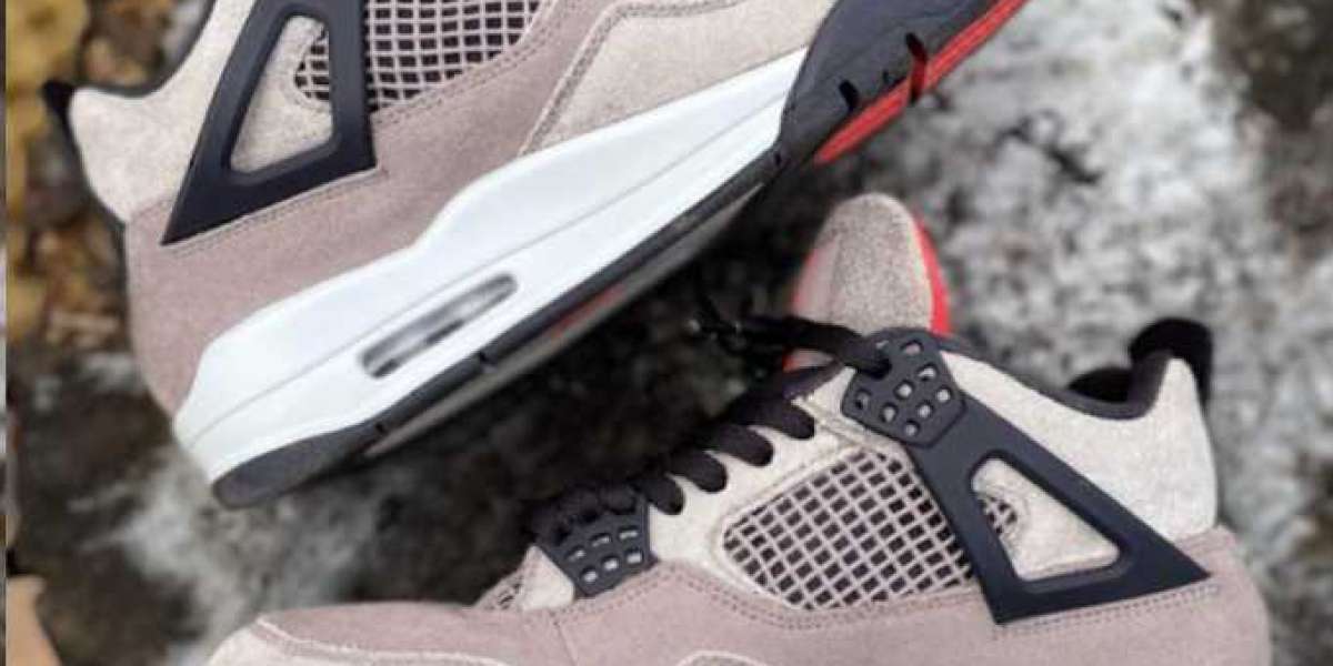 Spotlight on Air Jordan 4 Retro Taupe Haze