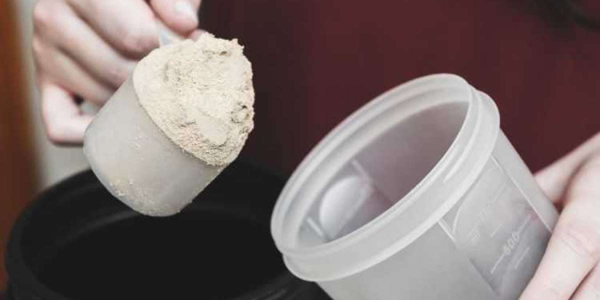 The Growing Potential Of The Global Micellar Casein Market: Trends And Forecast (2024-2032)