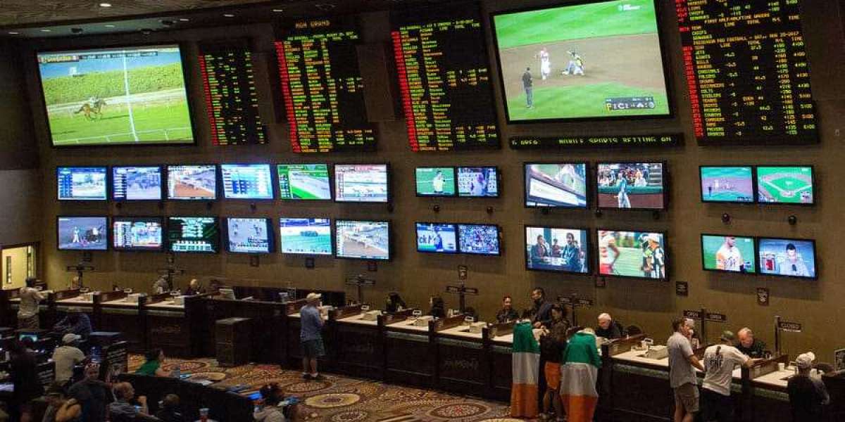 Experience the Power of a Sports Gambling Site