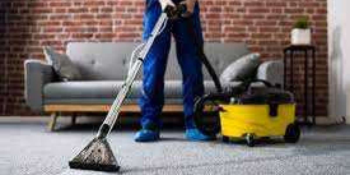 Professional Carpet Cleaning: A Foundation of Elegant Home Design