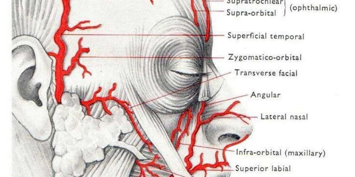 Caminhos da Fisioterapia: O Crescente Interesse pela Especialização em Dermatofuncional