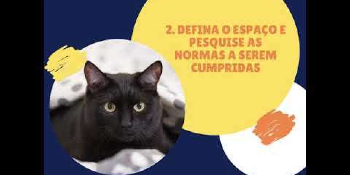 PRÉ 4 FELINO: A Importância da Análise Sanguínea Completa para a Saúde do Seu Gato